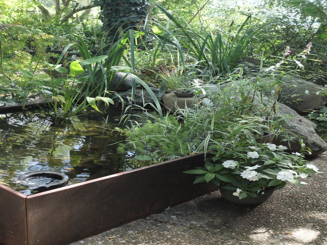 Plongée Végétale, Spa naturel formé d’une coque standard avec un débordement sur un bassin naturalisé – Sauvagnon