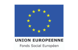 Fond Social Européen : logo